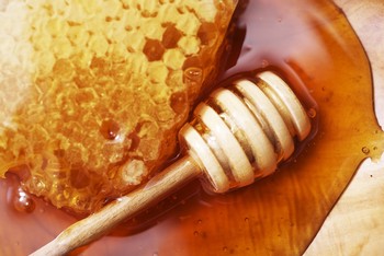 Honey Harvest Kid Ticket
