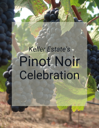 2019 Pinot Noir Celebration