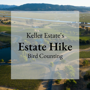 Estate Hike: 02/20