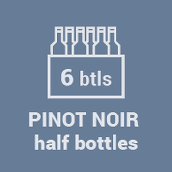 2019 Pinot Noir six pack