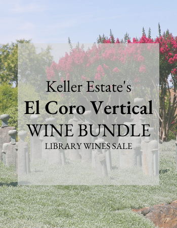 El Coro Vertical Library Bundle: '13, '15, '16