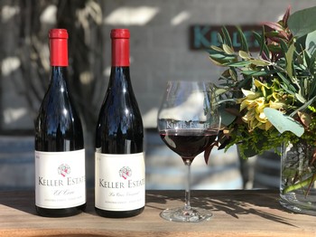 Pinot Bundle